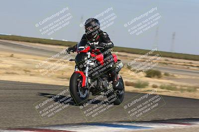 media/Oct-14-2024-Lets Ride (Mon) [[58c2a74f16]]/C Group/240pm (Wheelie Bump)/